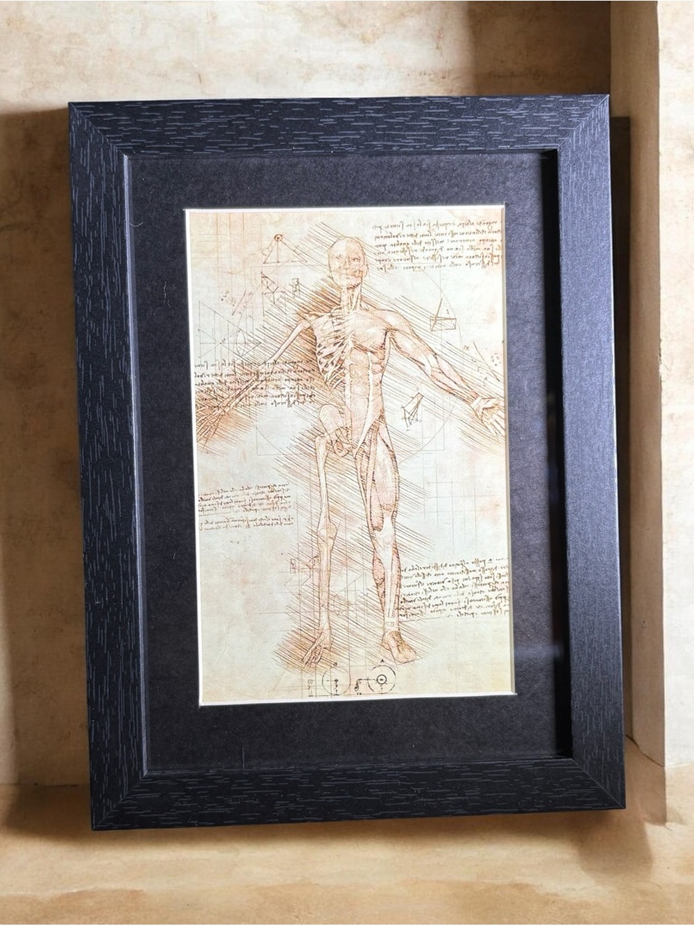 Leonardo Da Vinci Inspired Anatomical Art Framed 5x7 Renaissance Decor